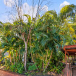 2/15 Donaldson Court, Karama NT 0812 55 1P0013 Karama 2022 08 11 093225 14 2/15 Donaldson Court, Karama NT 0812